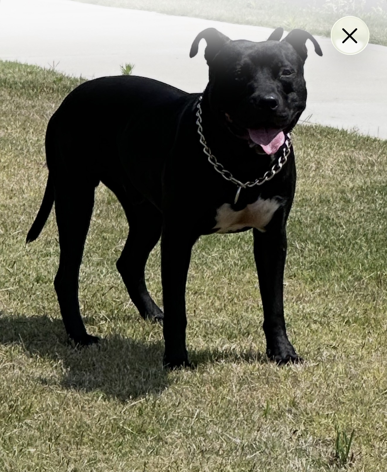 Bubba Dub photo 1