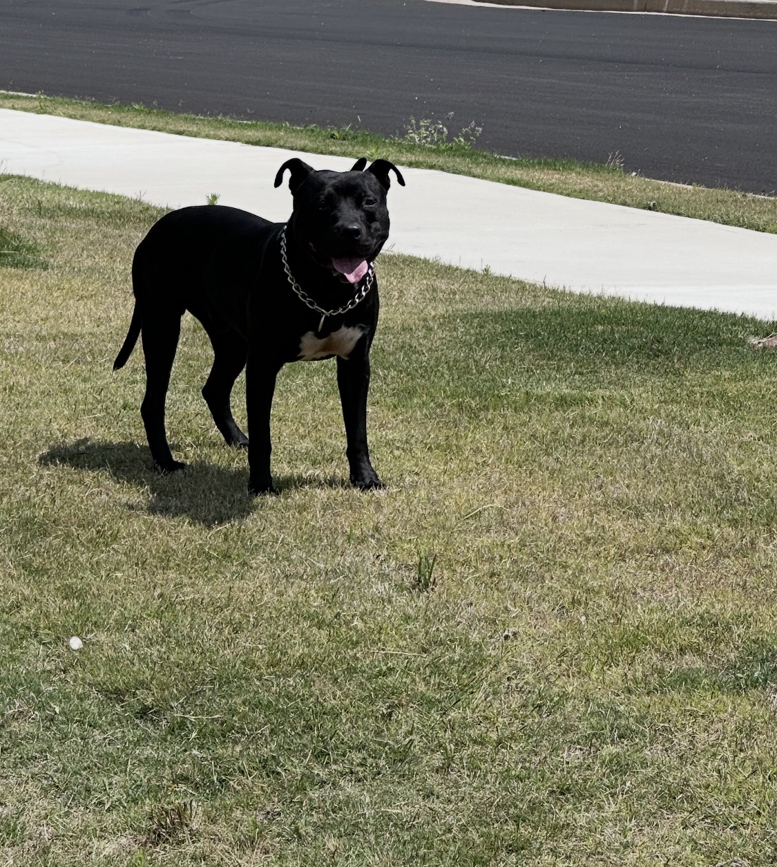 Bubba Dub photo 2