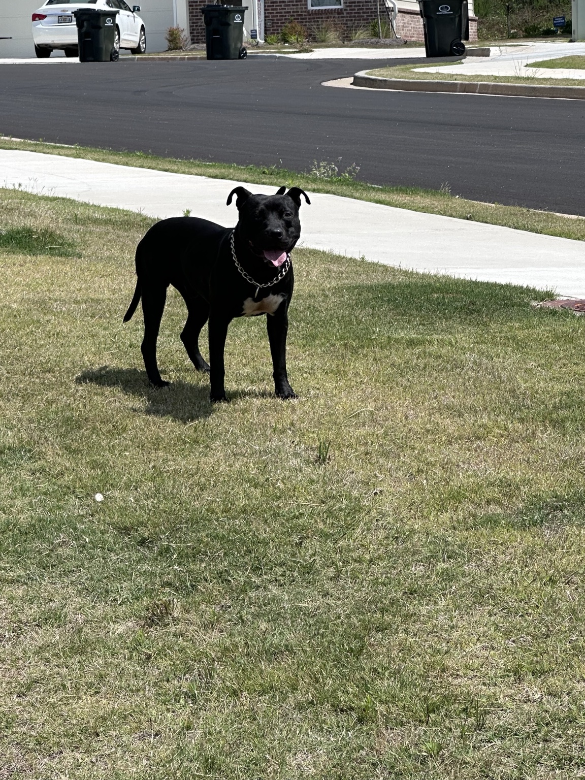 Bubba Dub photo 5