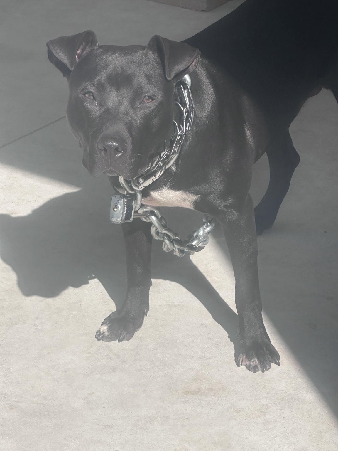 Bubba Dub photo 7